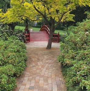 Meet your Posher, Renae